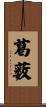 葛薮 Scroll