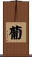 葡 Scroll
