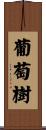 葡萄樹 Scroll