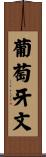 葡萄牙文 Scroll
