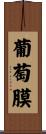 葡萄膜 Scroll