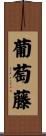 葡萄藤 Scroll