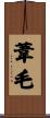 葦毛 Scroll