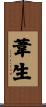 葦生 Scroll