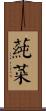 蒓菜 Scroll