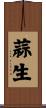 蒜生 Scroll