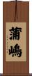 蒲嶋 Scroll