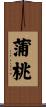 蒲桃 Scroll