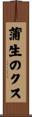蒲生のクス Scroll