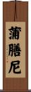 蒲膳尼 Scroll