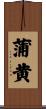 蒲黄 Scroll
