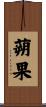 蒴果 Scroll
