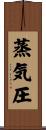 蒸気圧 Scroll