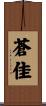 蒼佳 Scroll