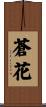 蒼花 Scroll