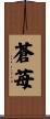蒼苺 Scroll