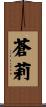 蒼莉 Scroll