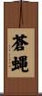 蒼蝿 Scroll