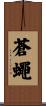 蒼蠅 Scroll