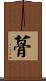 蓇 Scroll