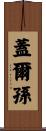 Gerson Scroll