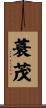 蓑茂 Scroll