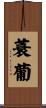 蓑葡 Scroll