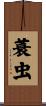 蓑虫 Scroll