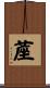 蓙 Scroll