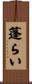 蓬らい Scroll