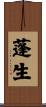 蓬生 Scroll