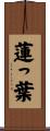 蓮っ葉 Scroll