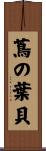蔦の葉貝 Scroll