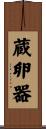 蔵卵器 Scroll
