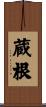 蔵根 Scroll