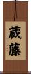 蔵藤 Scroll