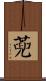 蔸 Scroll