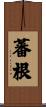 蕃根 Scroll