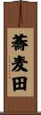 蕎麦田 Scroll