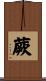 蕨 Scroll