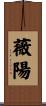 薇陽 Scroll