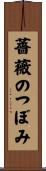 薔薇のつぼみ Scroll
