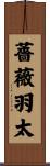 薔薇羽太 Scroll
