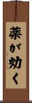 薬が効く Scroll