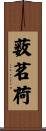 薮茗荷 Scroll