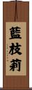 藍枝莉 Scroll