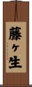 藤ヶ生 Scroll