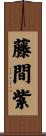 藤間紫 Scroll