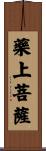 藥上菩薩 Scroll