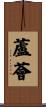 蘆薈 Scroll